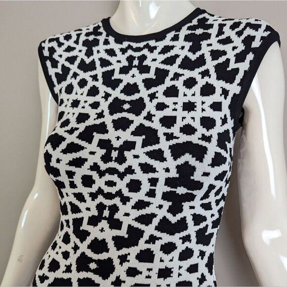 Torn by Ronny Kobo Bodycon Dress – XS – Geometric Knit – Zip Back - Picture 6 of 9